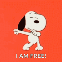 Odie Batz